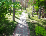 Кафе «Лукоморье», ул. Антонова-Овсеенко, 14Е, Воронеж